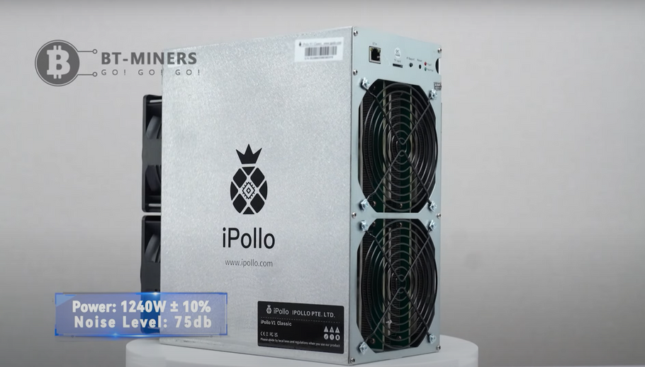 iPollo V1 Classic 1550Mh/s | Product Description & Setup